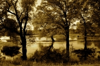 Zdjęcie: Jesienna nostalgia...