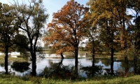 Zdjęcie: Jesienna nostalgia...