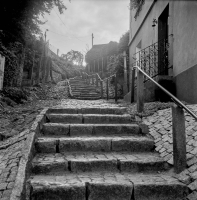 Zdjęcie: TLR film - 6x6