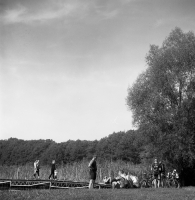 Zdjęcie: TLR film - 6x6