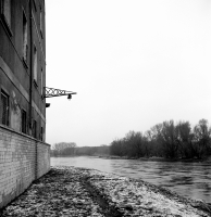 Zdjęcie: TLR film - 6x6