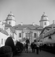 Zdjęcie: TLR film - 6x6