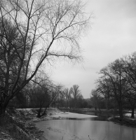 Zdjęcie: TLR film - 6x6