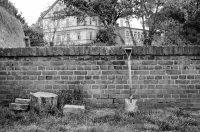 Zdjęcie: Święto Bzów 2015