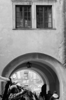 Zdjęcie: Święto Bzów 2015