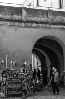Zdjęcie: Święto Bzów 2015