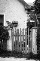Zdjęcie: ANIMALS