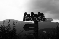 Zdjęcie: B&W