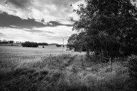 Zdjęcie: B&W