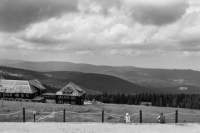 Zdjęcie: B&W