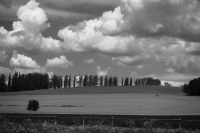 Zdjęcie: B&W