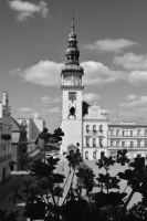 Zdjęcie: kropki trzy 