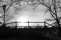 Zdjęcie: 19_02