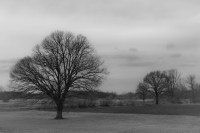 Zdjęcie: 19_02