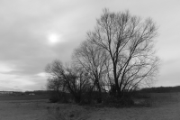 Zdjęcie: 19_02