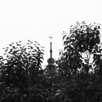 Zdjęcie: Święto Bzów 2017