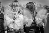Zdjęcie: Święto Bzów 2017