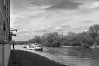 Zdjęcie: Święto Bzów 2017