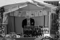 Zdjęcie: Święto Bzów 2017