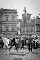 Zdjęcie: Święto Bzów 2017