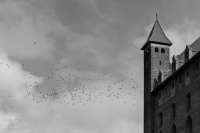 Zdjęcie: GNIEW