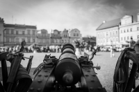 Zdjęcie: Święto Bzów 2018