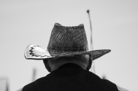 Zdjęcie: Święto Bzów 2018