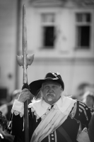 Zdjęcie: Święto Bzów 2018