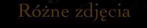 Różne zdjęcia