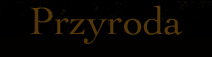 Przyroda